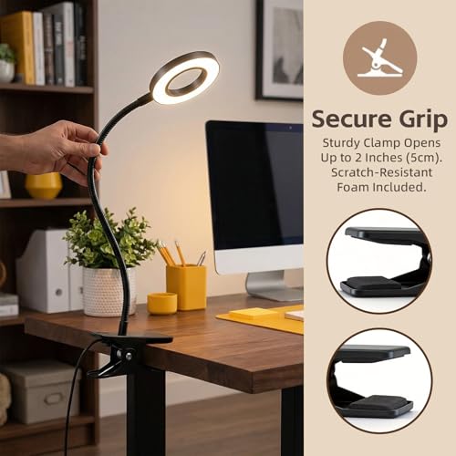 Clip on Book Light, LED Desk Lamp with Clamp, Flexible Gooseneck