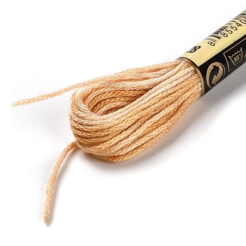 Cross Stitch Floss 10 Skeins Variegated Embroidery String 6 Strands Segment Dyed Polyester for Friendship Bracelet Needlepoint Sewing Knitting Crafts (Peru) - color: Peru