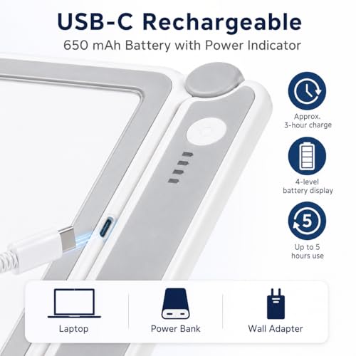 TECHSHARE 4X Rechargeable Magnifying Glass with Light, Large Rectangular Glass Lens, 10 LEDs, 3 Brightness Levels, USB-C Foldable Magnifier for Reading Books, Bible, Small Print, Seniors