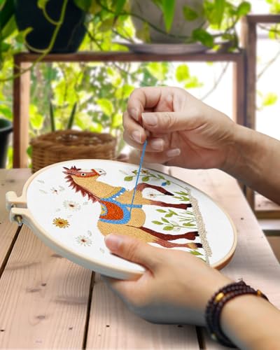 TINDTOP Embroidery Kit for Adult, 3 Pack Embroidery DIY Starter Kit - color: Horse