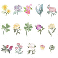 15pcs Flower Iron on Patches Cute Small Floral Embroidery Patches Applique for Clothes Hats Jeans Jacket - color: multi-1