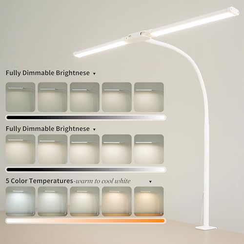 Dual-Head LED Desk Lamp for Office Home, Adjustable Flexible Eye-Caring Desk Light, 5 Modes 10 Brightness Adjustment, USB Adapter Desk Lamp with Clamp-ST-W - style: Double Head White