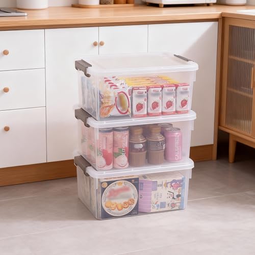 Citylife 17 QT Clear Storage Bins with Lids 1 Pack Plastic Storage Bins - size: 1 Pack-17QT-N