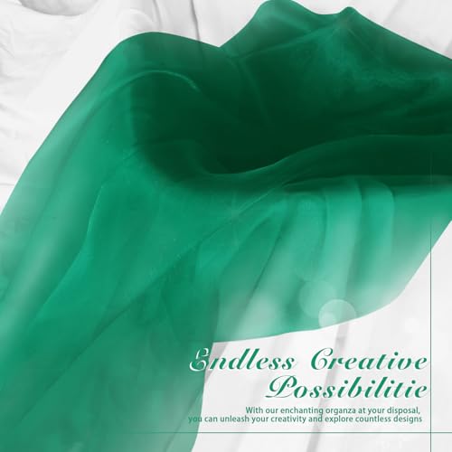 Manyshofu Green Organza Fabric by The Yard, 60 Wide (1 Yard) - color: Green, size: 1 Yard