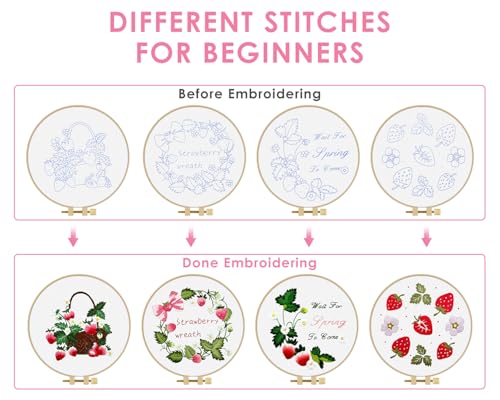 TINDTOP Embroidery Kit for Adult, 4 Pack Cross Stitch Practice Kits - color: Strawberry