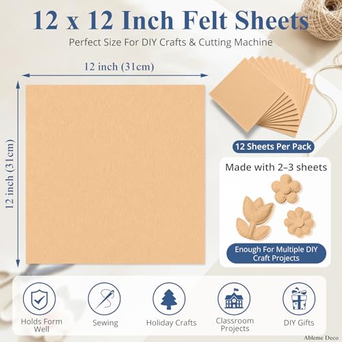 12" x 12" Felt Sheets for Crafts, 2mm Stiff Felt Fabric (12 Pcs), Nude - color: Nude
