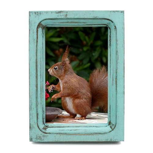 CVHOMEDECO. 4x6 Picture Frame Made of Solid Wood High Definition Glass Rustic Vintage Designs Small Photo Frame for Tabletop Display and Wall Mounting, Distress Blue - color: Distress Blue A, size: 4" X 6"