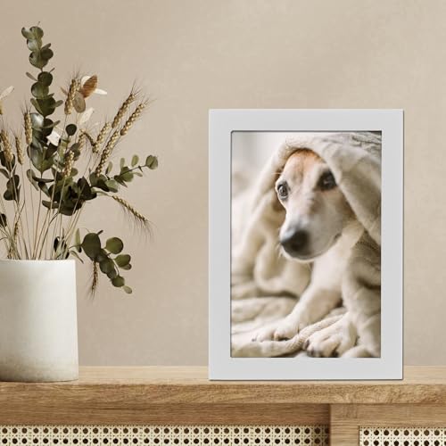 Lawrence Frames White Wood Picture Frame, Gallery Collection, 4x6 - color: White, size: 4X6
