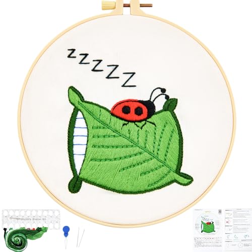 Embroidery Kits for Beginners Adults, Cute Hand Embroidery Starter Kit, Cross Stitch Kits for Beginners DIY Craft Kits for Adults Women, Entire Set of Embroidery Supplies【Full-Length Video Tutorial】 - color: H2062, size: 8Inch
