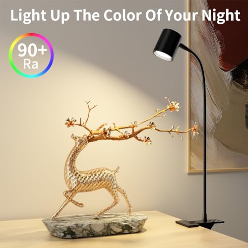 Desk Lamp USB Clip On Light,Book Lights for Reading at Night Clamp Light - color: Matte Black
