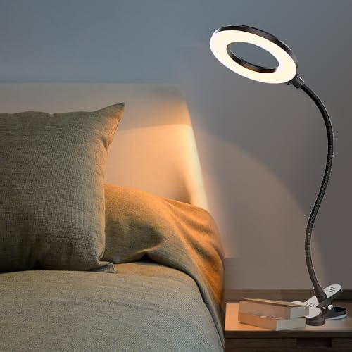 LED Desk Lamp with Clamp, 3 Color Modes, 10 Brightness