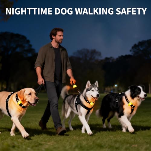 LaRoo Dog Lights for Night Walking, LED Dogs Collar Lights for Nighttime Clip On Light up Dog Collar Pet Camping Essentials （Orange） - color: Orange-A