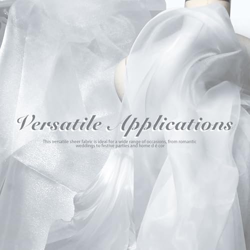 Manyshofu Silver Organza Fabric by The Yard, 60 Wide (2 Yard) - color: Silver, size: 2 Yard