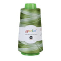 golo Crochet Thread Size10 1.76oz 310yd,Yarn for Hand Knitting Space-Dyed Yarn D02 - color: LD02-Green