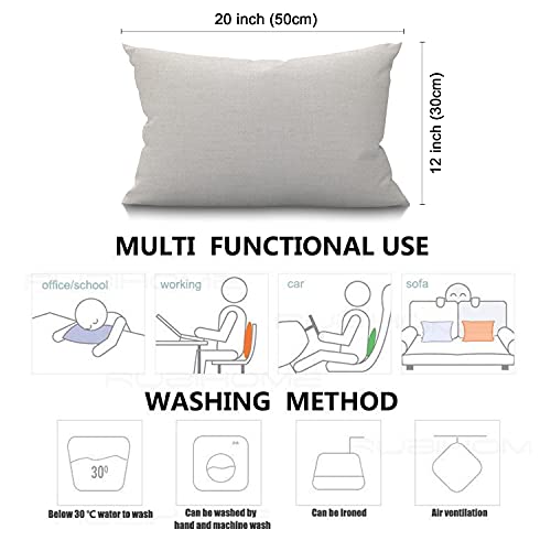 Smooffly Rustic Old Barn Wood Farmhouse Pillow Cover 12x20 Inch,Home Decorative Throw Pillow Case Cushion Cover,Home Gifts,Housewarming Gift - color: Md025