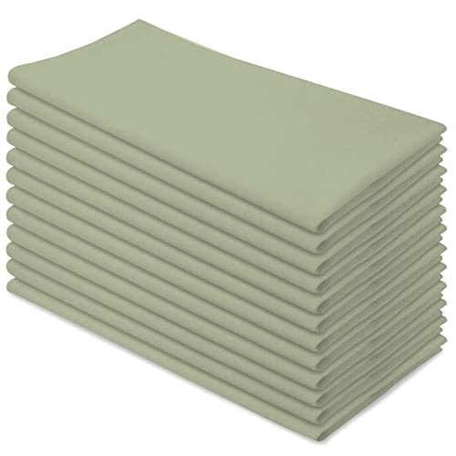 Aunti Em's Kitchen Flour Sack Dish Towels - Natural Cotton for Embroidery and Drying Glass, Hand, Dinnerware - Plain, Thick, Zero-Lint, Highly Absorbent - Set of 12, 27 x 27 Inch, Sage Green - color: Sage Green