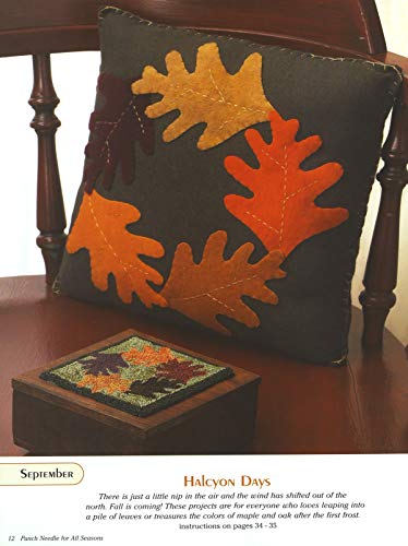 Punch Needle and Wool Embroidery for All Seasons (Design Originals)