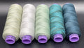 Sue Spargo Eleganza #5 Perle, Five 40yd Spools of Polished Cotton Thread for Embroidery Bundle (C - Terrarium)