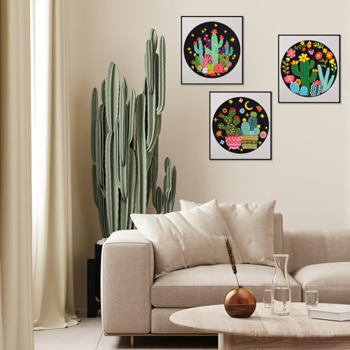 Nuberlic 3 Pack Embroidery Kit for Beginners with Cactus Pattern - color: Cactus