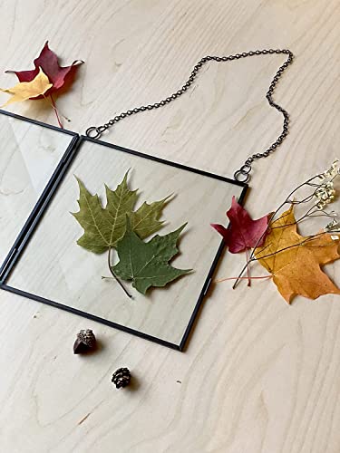 Glass Frame for Pressed Flowers, Leaf and Artwork - 8x8 Black Hanging Square Metal Picture Frames, Clear Double Glass Floating Frame, Wall Decor Photo Display, Set of 2 Flower Press Frames with Chain - color: Gunmetal black, size: 8x8