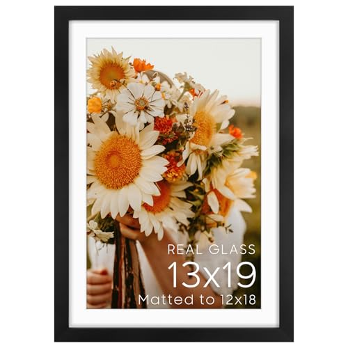 Golden State Art 13x19 Black Picture Frame Mat for 11x17 Real Glass - color: Black, size: 13x19