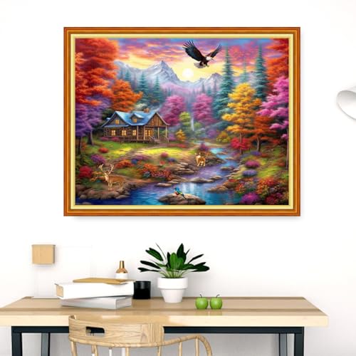 Dimensean Stamped Cross Stitch Kits Full Range of Embroidery Patterns Starter Kits for Beginners Adult DIY Cross Stitches Needlepoint Kits 11CT-Dream Home 16x20 inch - color: Craftpattern50