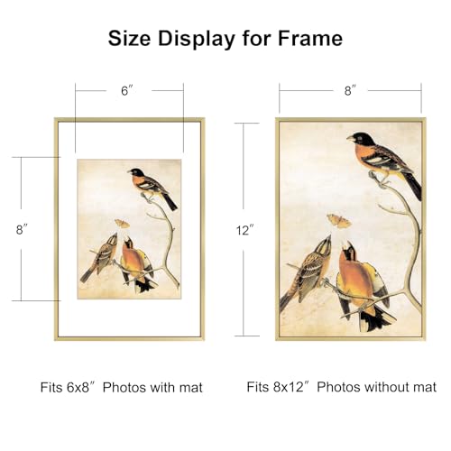 BKABOT 8x12 Brass Aluminum Photo frames 3 Pack HD Glass Mat 6x8 Wall Only - color: Brass, size: 8x12