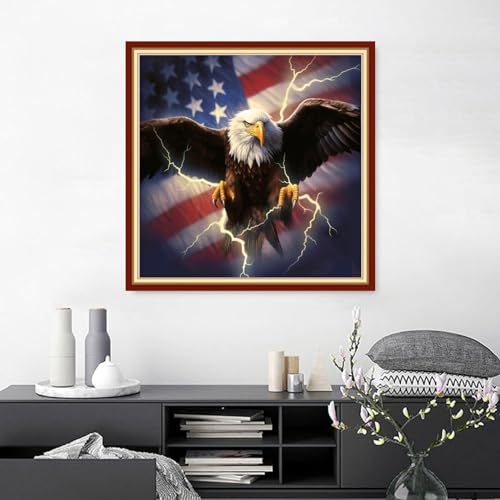 Joyhoor Cross Stitch Kits for Beginners, Stamped Cross-Stitch Supplies, Needlework, Preprint Embroidery Kits, Adults DIY, Needlepoint Kits, Embroidery Patterns, 11CT-Eagle Flag, 18x18 inch - color: Preprinted 14