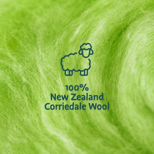 Woolbuddy Corriedale Wool Roving Kit for Needle Felting (Green) 20g Each - color: Green