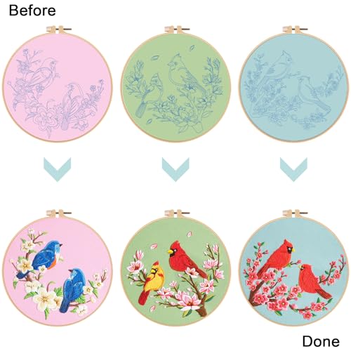 Nuberlic 3 Pack Embroidery Kit for Beginners with Cardinal & Blue Bird - color: Hummingbird and Flower