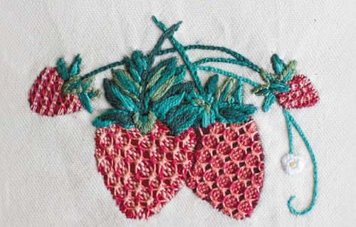 The Embroidery of Mexico: A vibrant celebration of traditional and modern designs