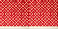 Stitch & Sparkle Cotton Duck 45" Medallion Ruby Color Sewing Fabric by The Yard, (D022G0301) (Pack of 2) - color: Medallion Ruby, size: Cut by the yard (Pack of 2)