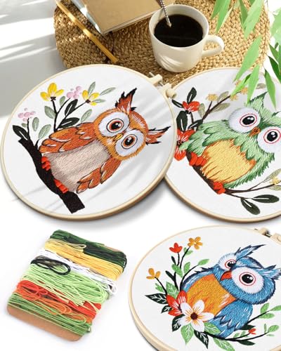 TINDTOP Embroidery Kit for Adults, Owl Embroidery Practice Kit - color: Owl