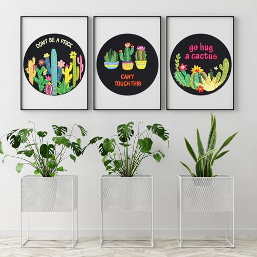 Louise Maelys 3 Pack Funny Cactus Embroidery Kit for Beginners DIY Craft - color: funny cactus
