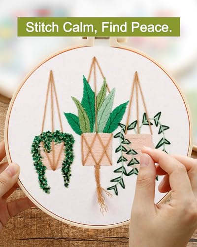 Santune 3 Sets Embroidery Kit for Beginners Needlepoint Cross Stitch Kits for Adults,Stitch Learning DIY Sets with Instruction Video,Stamped Floral Patterns,Hoop,Threads,Sewing Kit - color: Pothos Series
