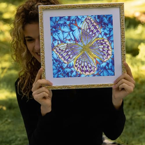DIAMOND DOTZ Flutterby Silver Butterflies Diamond Painting Kit Adults