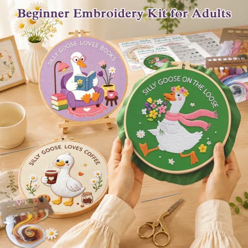 Louise Maelys 3 Pack Embroidery Kit for Beginners, Fun Silly Goose Design - color: Silly Goose