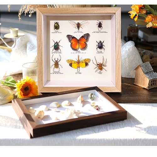8x8 Shadow Box Frame Natural Wood Shadow Box Display Case 3 Pack Picture Frames Glass Surface Internal Depth 0.6 inch for Wall Or Tabletop - color: Teak, size: 8x8 inch