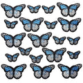 20pcs Butterfly Iron on Patches, 2 Sizes Blue Butterfly Embroidered Patches Applique for Clothes Hats Jeans Jacket - color: Blue butterfly