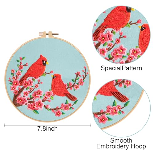 Nuberlic 3 Pack Embroidery Kit for Beginners with Cardinal & Blue Bird - color: Hummingbird and Flower