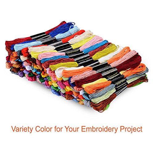 Paxcoo 124 Skeins Embroidery Floss Cross Stitch Thread with Needles - color: 124 Colors