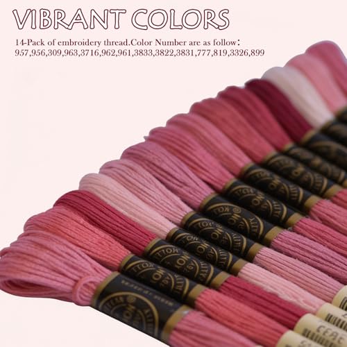 Premium Rainbow Color Embroidery Floss - Cross Stitch Threads - Friendship Bracelets Floss - Crafts Floss - 14 Skeins Per Pack Embroidery Floss, Medium Rose Gradient - color: Rose Gradient