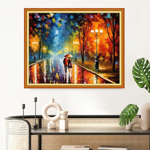 Redxing Stamped Cross Stitch Kits Full Range of Embroidery Starter Kits- Needlepoint Counted Cross Stitch Kits for Beginner Adults 11CT Printed Embroidery Kit-Romantic Night Stroll 16x20 inch - color: Artskits08