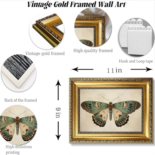 Vintage Gold Framed Butterfly Wall Art,Retro Natural Butterfly Canvas print - color: Butterfly Gold Framed, size: 11"L x 9"W