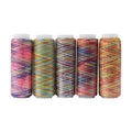 5Pcs Multicolor Gradient Sewing Quilting Embroidery Thread, Variegated Sewing Thread, 120.3yards Polyester Fiber Hand Quilting Thread for Sewing Enthusiast Embroidery