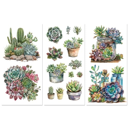 Peacoblue Succulent Rub On Transfers for Furniture Craft 6"x12" - style: Succulent and Cactus