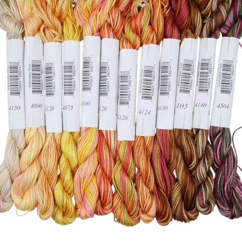 KCS Big skeins of 25 Meters Size 25 Color Variegated Cross Stitch Stranded Threads,12 skeins,08 - color: 12skeins08, size: 12 skeins