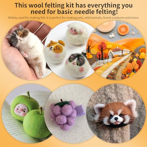 JUPEAN Needle Felting Kits for Beginners Adults Needle Felting Supplies - style: Style A