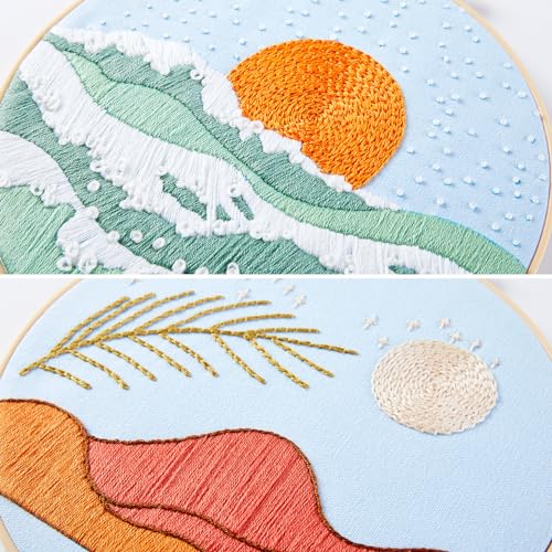 Armindou Hand Embroidery Starter Kit for Beginners Adults, Counted Cross Stitch kit for Adult Beginner, Stamped Embroidery Needlepoint Kit, 2 Set Embroidery Supplies, 2 Hoops (Attached Video Tutorial) - color: Red, size: 8inch