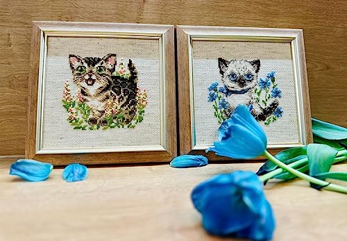 RIOLIS 2119 Bengal Kitten Counted Cross Stitch Kit 6 x 6 in - style: Bengal Kitten 2119